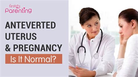 Anteverted Uterus: Causes, Pregnancy, and Treatment .